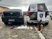 com-apoio-de-cao-farejador,-policiais-de-suzano-encontram-mais-de-3,3-kg-de-drogas-em-‘carro-cofre’