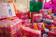 moradores-de-poa-podem-doar-absorventes-para-a-campanha-‘dona-chica’-ate-o-dia-30