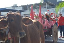 carreiros-chegam-a-mogi-nesta-sexta-feira-para-a-entrada-dos-palmitos