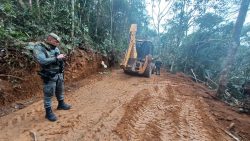 guarda-ambiental-de-mogi-flagra-desmatamento-na-rodovia-mogi-bertioga