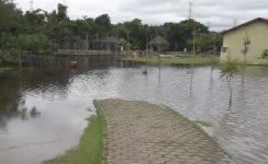 trecho-de-pista-de-caminhada-do-parque-centenario-e-desinterditado