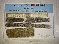 irma-de-detento-tenta-entrar-com-maconha-no-cdp-de-mogi-das-cruzes