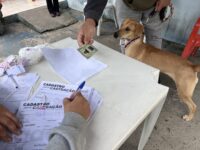 poa-oferece-atendimento-para-caes-e-gatos-na-praca-da-biblia