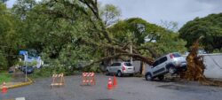 video:-carro-fica-suspenso-ao-ser-atingido-por-raiz-de-arvore-arrancada-durante-chuva-na-grande-sp